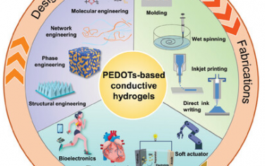 Adv Mater综述：PEDOT导电水凝胶的设计、制备以及应用