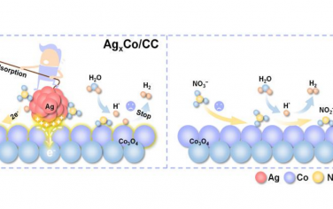 郑州大学Angew：Ag/Co3O4电催化还原硝酸盐合成氨