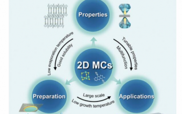 AM：用于电子和光电子器件的二维分子晶体