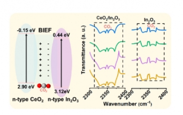 ACS Nano：内置电场可在宽电位窗口内促进 C1 产品的 CO2 界面吸附和活化