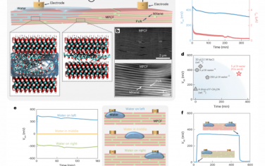 Nature Nanotechnology：二维纳米通道中上游质子扩散产生的电能