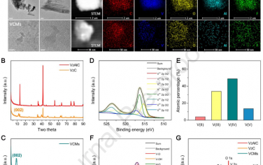 Biomaterials：利用模拟ATP酶的MXene纳米酶打破铁防御系统以实现铁死亡癌症治疗