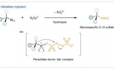 Nature Synthesis：通过过硫酸盐诱导1,4-金属酸盐迁移的立体特异性C-O硫酸化