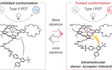 JACS：镥Texaphyrin-塞来昔布偶联物可作为免疫-光动力治疗药物