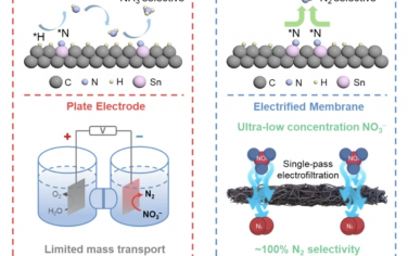 Nat Commun：带有双原子锡催化剂的双层带电膜可将低浓度硝酸盐几乎完全转化为氮气