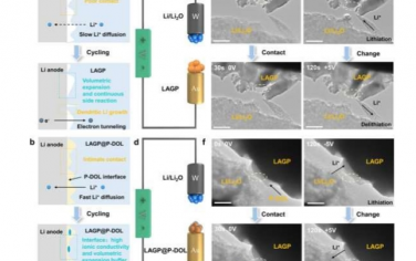 Energy Environ. Sci.：稳定 LAGP/Li 界面并原位可视化高性能固态锂金属电池界面结构演变