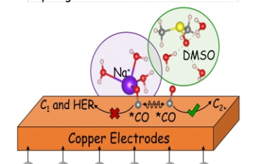 Angew：铜电极上阳离子与非质子溶剂协同作用加速CO2还原生成多碳产物的反应动力学