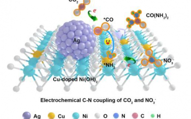 Angew：Ag-CuNi(OH)2强耦合界面促进CO2和NO3-还原合成尿素