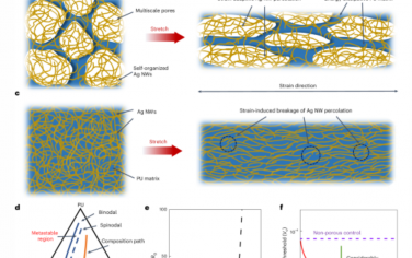 Nature Nanotechnology：用于无线生物电子学的超低渗流阈值相分离多孔纳米复合材料