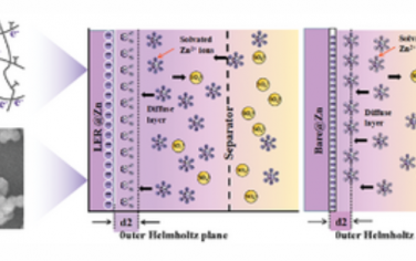 AEM：水性锌离子电池阳极界面双电层的局部电子结构工程重建