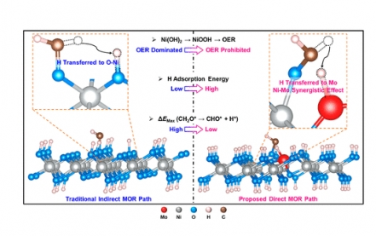 JACS：可逆地调整原子催化剂的构型可实现高效的氧电还原