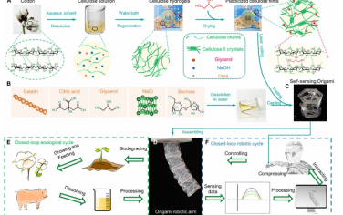 Science Advances：可生物降解的折纸技术实现闭环可持续机器人系统