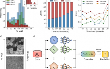 Nature Communications：基于数据驱动的小分子抑制剂在冰晶重结晶中的高效发现