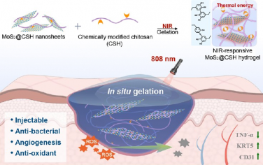 ACS Nano：通过光热驱动壳聚糖稳定的MoS2纳米片工程化可注射共组装水凝胶以促进感染伤口愈合
