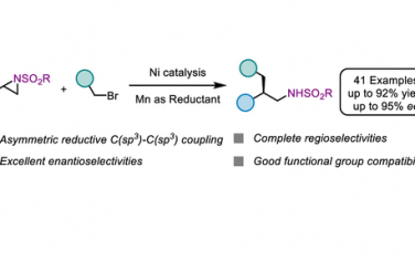 JACS：Ni催化N-磺酰基苯乙烯基氮杂环丙烷与烷基溴立体交叉偶联