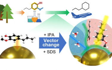 JACS：木质素加氢脱氧催化制烃的反应动力学