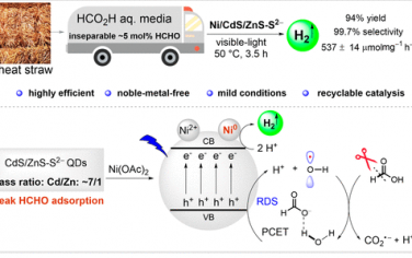 ACS Catal：CdS/ZnS修饰Ni金属可见光催化甲酸制氢