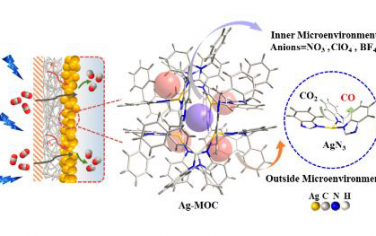 Angew：阴离子调控Ag-MOF微环境优化电催化还原CO2