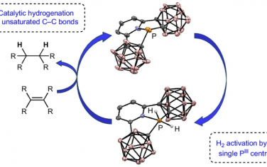 Nature Chem：碳硼烷配体修饰磷催化活化氢气