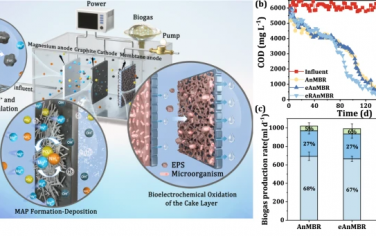 Nature Commun：无氧生物膜反应器处理污水和回收