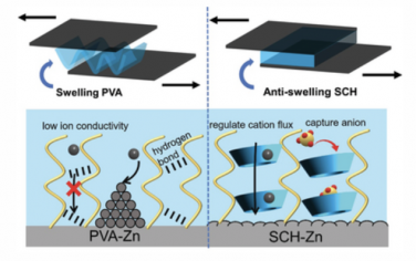 AEM：稳定锌金属阳极的抗溶胀超分子交联水凝胶界面