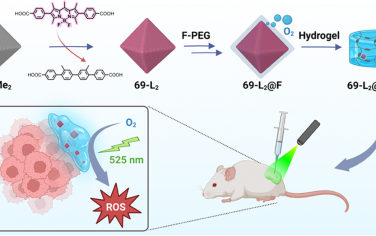 JACS：氟化的BODIPY基锆金属有机框架用于实现体内增强型光动力治疗