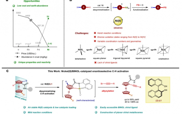 浙江大学Nature Commun：Ni(II)/BINOL立体选择性C-H键