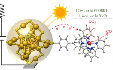 Angew：Au25簇修饰金属复合物增强光电催化还原CO2