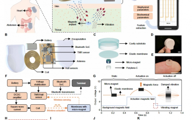 Science Advances：毫米级磁性植入物与用于无线生物物理和生化传感的全集成可穿戴设备配对