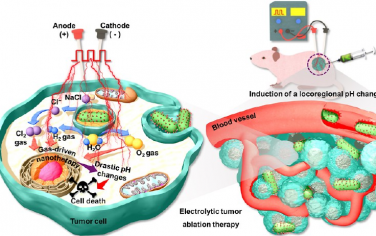 ACS Nano：电场响应型金纳米天线可通过电解消融疗法诱导局部肿瘤pH值变化