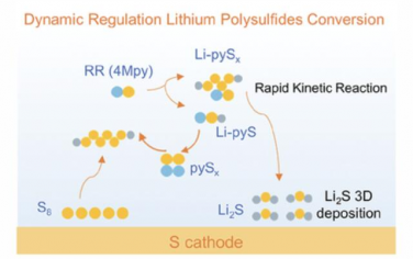 AEM：锂硫电池中有机硫电解质添加剂对多硫化物降解的动态调节
