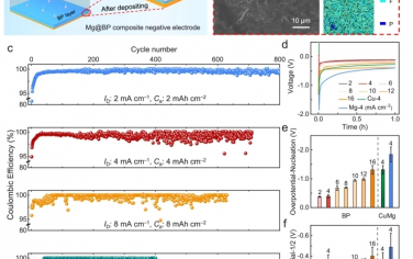 Nat Commun：非水系镁电池高容量、快充、长寿命镁/黑磷复合负极