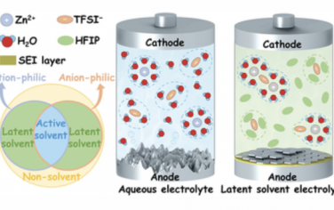AEM：溶剂诱导高可逆锌阳极的可靠界面化学