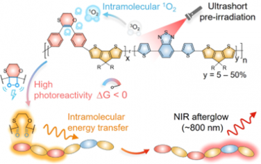 JACS：具有级联的分子内单线态氧和能量转移的高光反应性半导体聚合物用于癌症特异性余辉诊疗