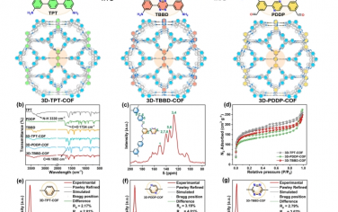 Nat Commun：3D N-杂环共价有机骨架用于 NH3 和 CO2 尿素光合成