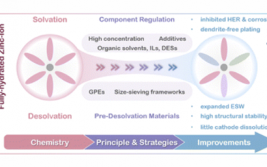 Chem. Soc. Rev.：优化锌金属电池的锌离子脱水策略