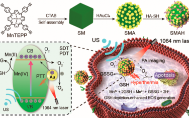 ACS Nano：NIR-II激活的自组装锰卟啉-金异质结构用于光声成像指导的声动力增强光热/光动力治疗