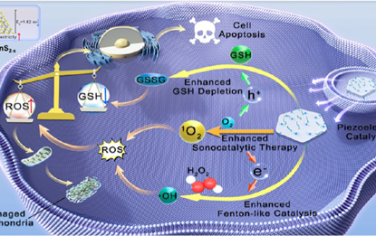 JACS：硫空位工程化二维Cu@SnS2−x纳米片可通过异价替代构建实现高效的压电催化肿瘤治疗