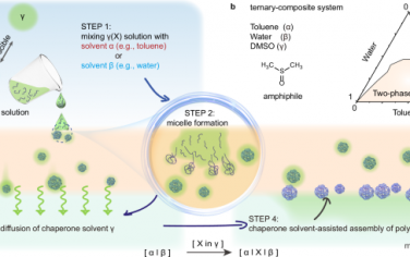 Nature Communications：伴侣溶剂辅助的两不混液体界面聚合物组装