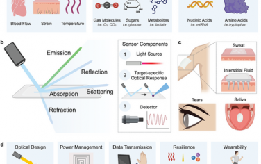 加州理工学院高伟Adv Mater综述：可穿戴传感器在精确医疗领域的应用
