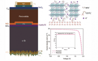 AEM：光稳定性钙钛矿/硅串联太阳能电池在强光下的冻结卤化物偏析