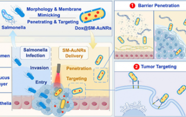 Nano Lett：沙门氏菌仿生纳米颗粒用于结直肠癌光热化疗