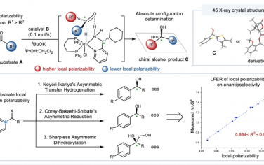Nature Communications：对映体选择中的极化性问题
