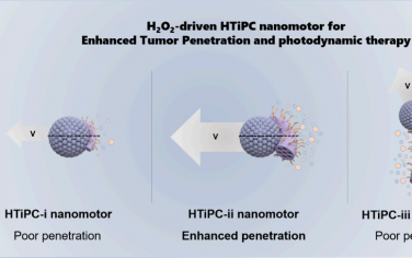 ACS Nano：黑色二氧化钛Janus介孔纳米马达用于实现增强的肿瘤穿透和近红外光触发的光动力治疗