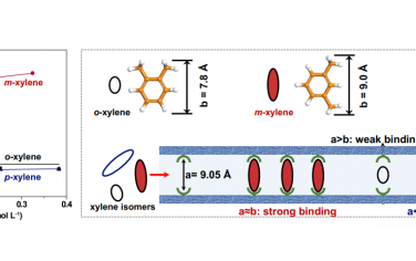 浙江大学Angew：优化氧官能团位置实现分离尺寸居中的间二甲苯