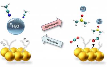 Nature Catalysis：在非水环境中调节水-氢键来调节其在电化学转化中的反应性