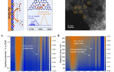 Nature Commun：原位红外光谱研究Cu单原子结构在电催化还原CO2反应中的动态变化