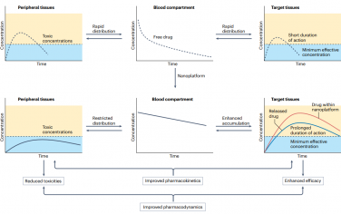 Nat. Rev. Bioeng：控制纳米药物的生物分布和清除