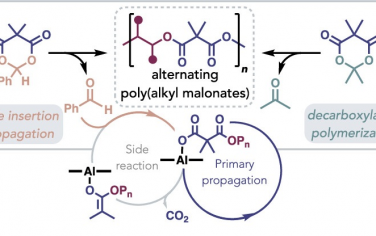 JACS：通过环氧化物和丙二酸环异丙酯的交替共聚合成烷基丙二酸酯聚合物