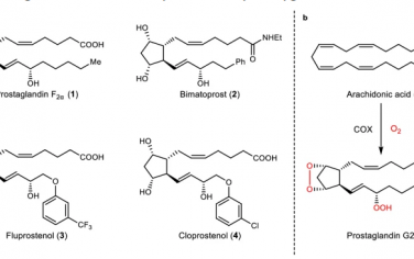 Nature Communications：一种简明、可扩展的前列腺素化学酶合成方法